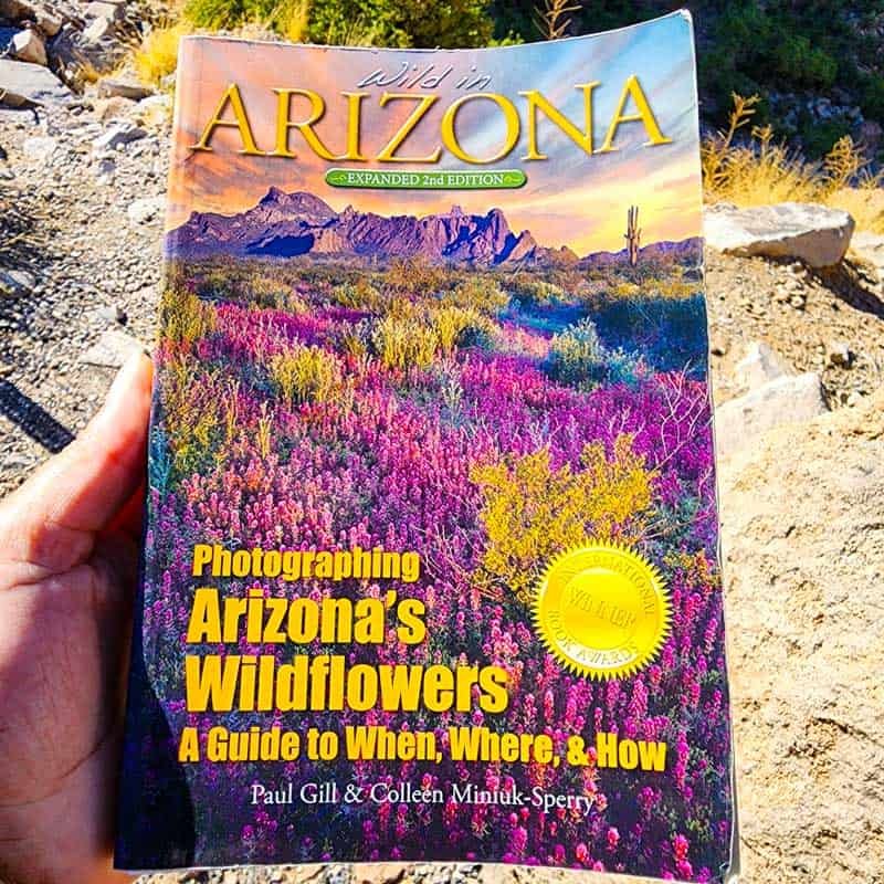 Photography Guidebook about finding wildflowers in Arizona.