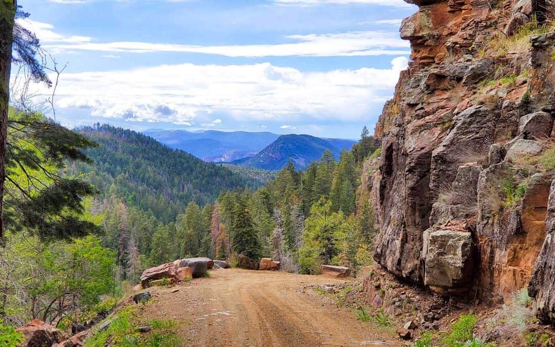 Workman Creek Road: Wondrous Waterfalls & Wildflowers